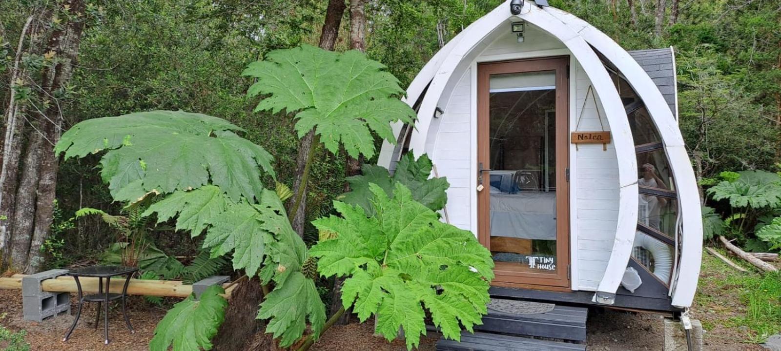 Cabanas Los Volcanes Ensenada Puerto Varas Eksteriør bilde