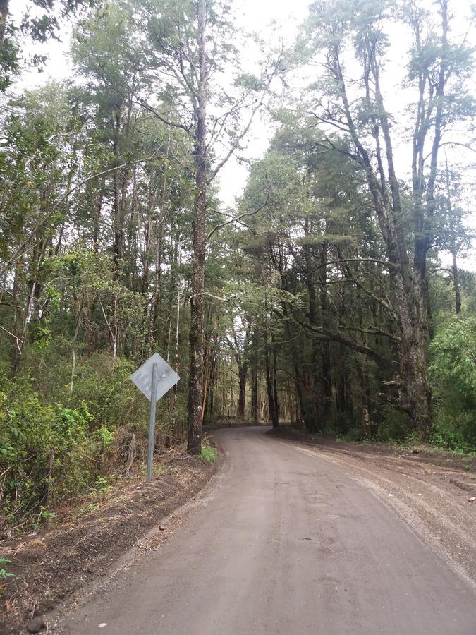 Cabanas Los Volcanes Ensenada Puerto Varas Eksteriør bilde